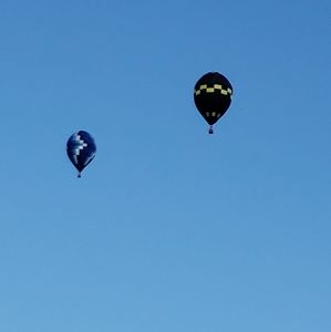 Meet your Posher, Terry